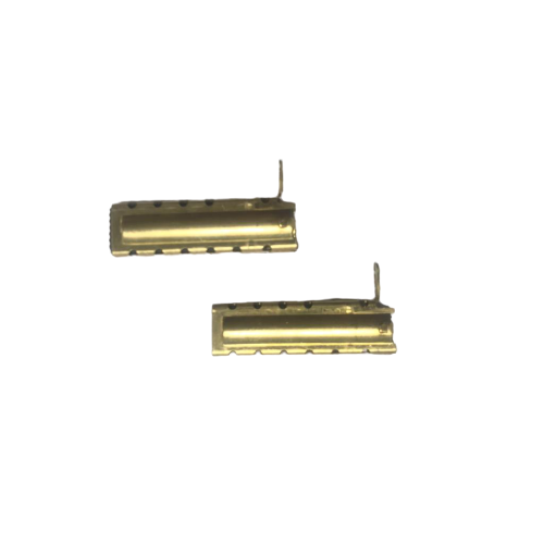 koolborstelset geschikt voor EuroQueen/vacuQueen, Venus, Apollo 2 stuks Ametek motor Type 2